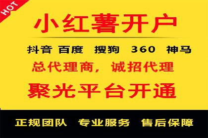 代理开户服务在海外投资中的应用案例